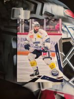 Isacco Dotti HC Ambri Piotta 2025/26 Sportzoo