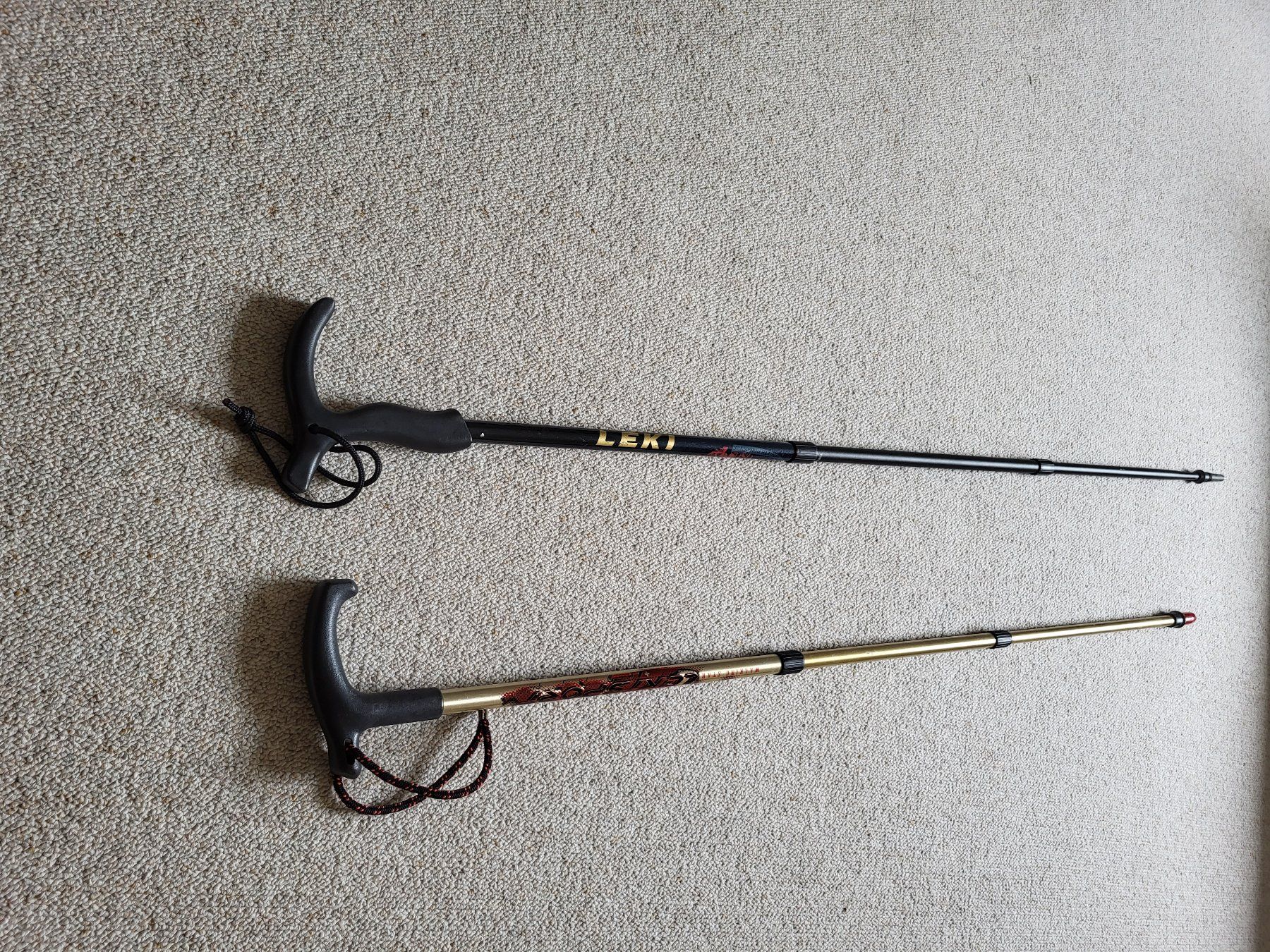 Kletterausrüstungen: 2x Wanderstöcke (hiking sticks) – Gebraucht aus Wettingen von  7