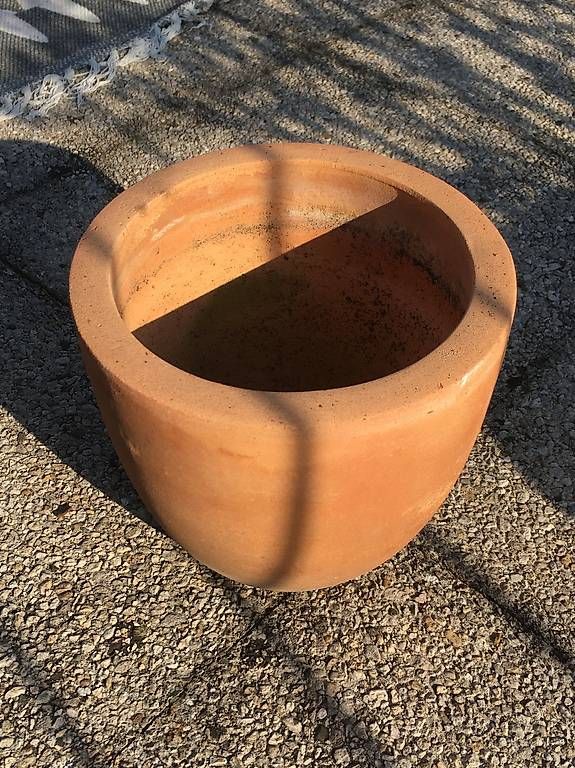 Vasi per fiori: Terracotta Topf – Usato da Zürich venduto da BuenosAires03