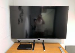 Fernseher Loewe Bild 3.49 / 49 Zoll