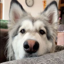 Profile image of jezzyy
