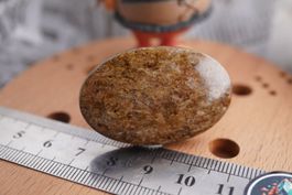 Bronzit  42mmx27mm  Cabochon  Direkt    Rausverkauf