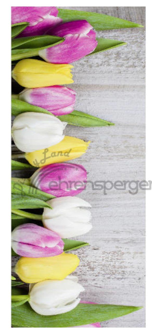 Autres accessoires: Textilbanner Tulpen Frühling – Neuf (Voir description) à St. Gallen par Miousch