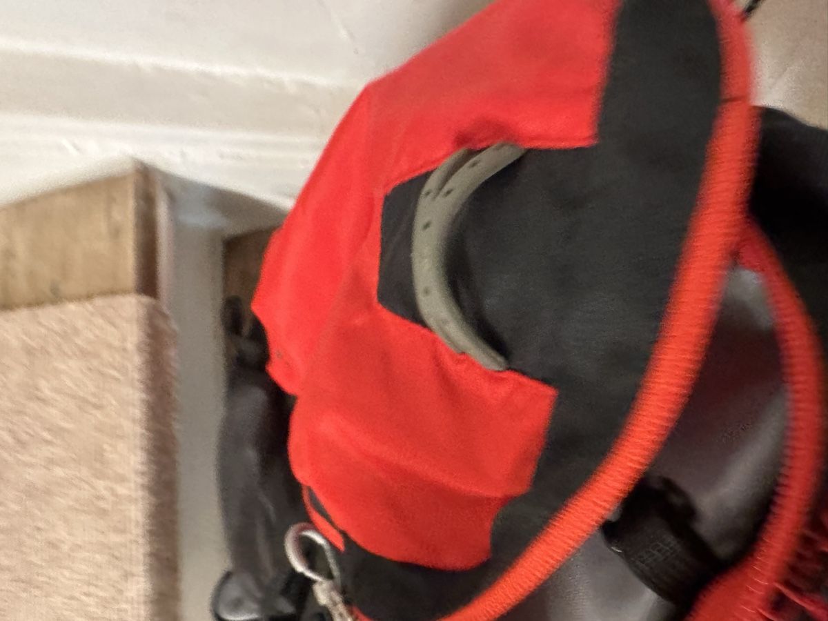 Sacs à dos: Backpack Shine 25 great condition – D'occasion à Zürich par OldtownShop 4