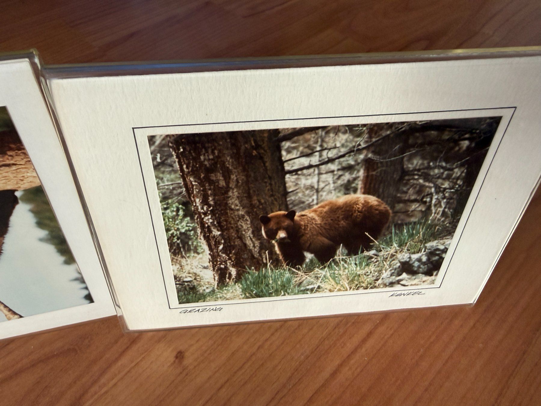 Bilderrahmen: Fotorahmen Acryl – Gebraucht aus Wängi von squirrelwoman 3