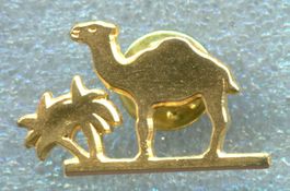 CAMEL  