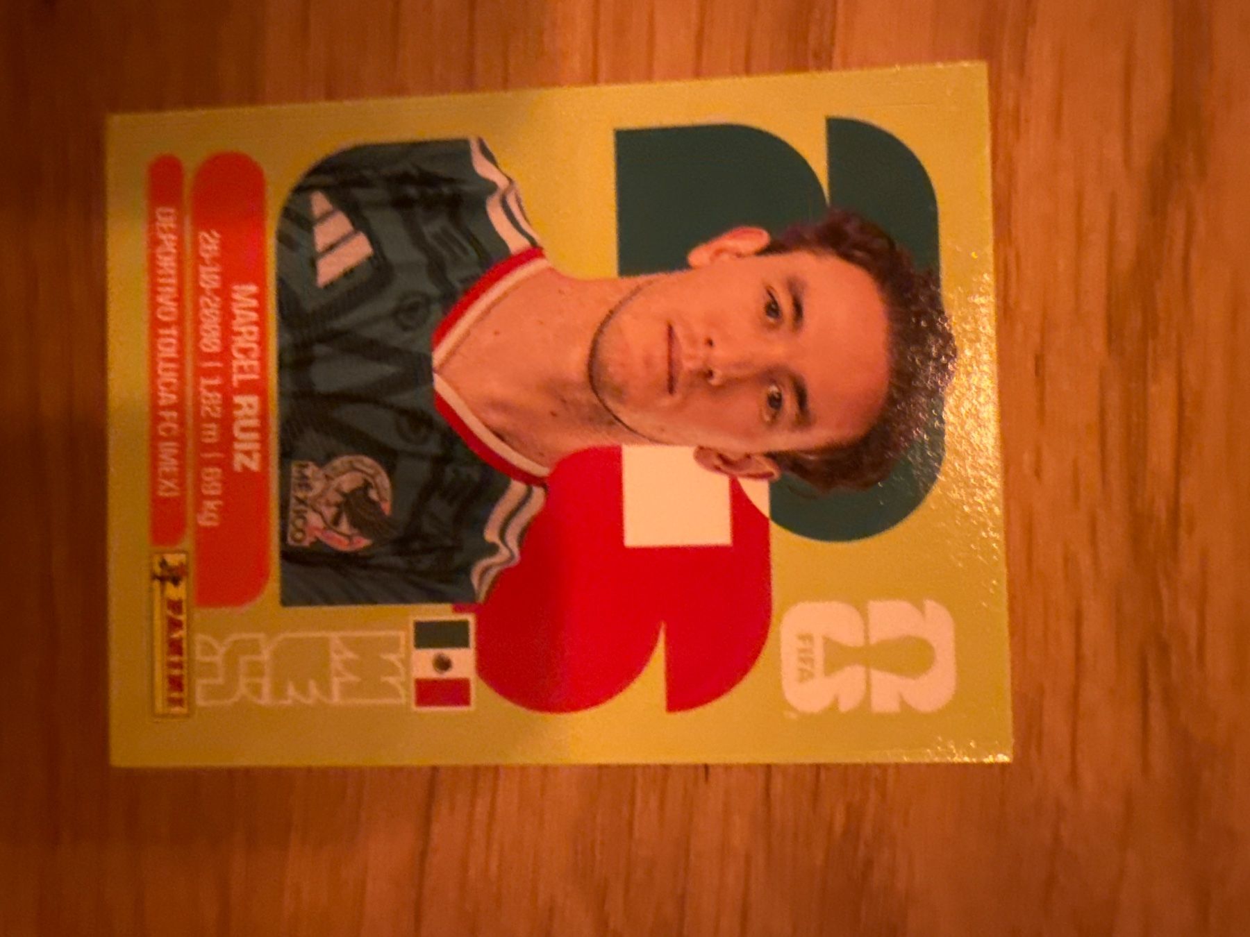 Panini Sammelbilder & Trading cards: Panini – Gebraucht aus Langnau i. E. von Acrjl