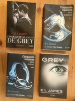 4 livres Cinquante nuances de Gray