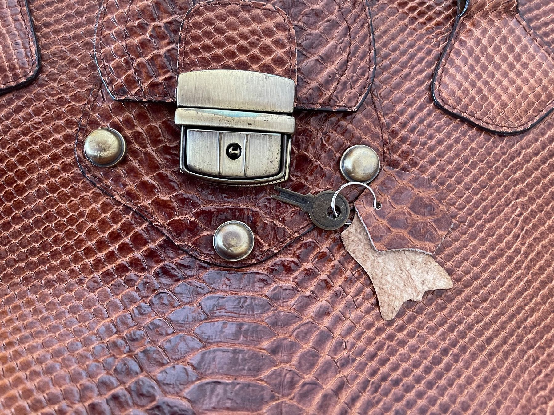 Gucci Borse da donna: UNICORN (IT) /NP430CHF Python Braune Baguette Tasche – Nuovo (secondo la descrizione) da Kölliken venduto da Prscoo 1