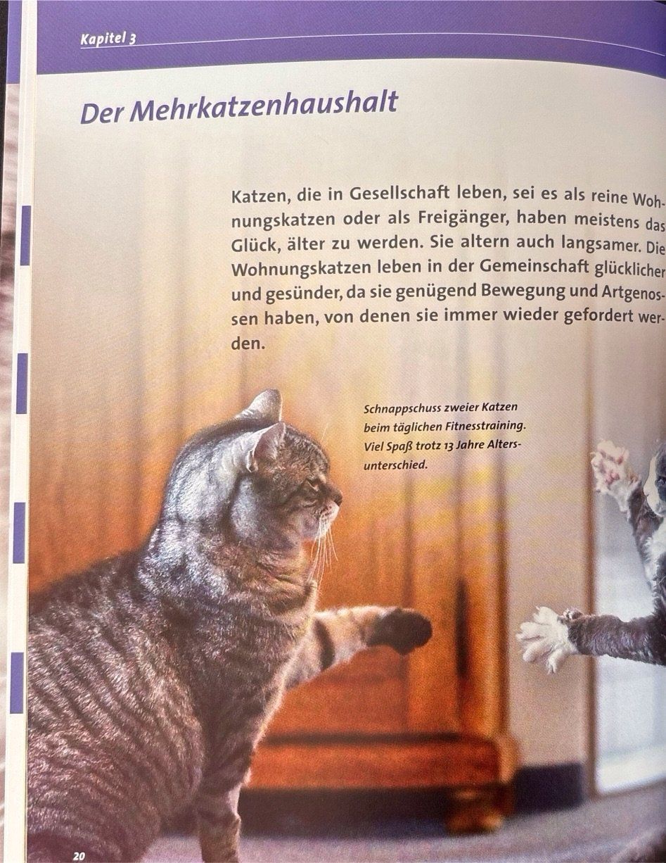 Bücher: Unsere Katze wird alt – Gebraucht aus Sarnen von Livres 6