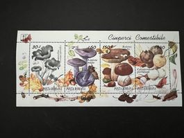 Romania Block Pilze 1994  gest. (D171)