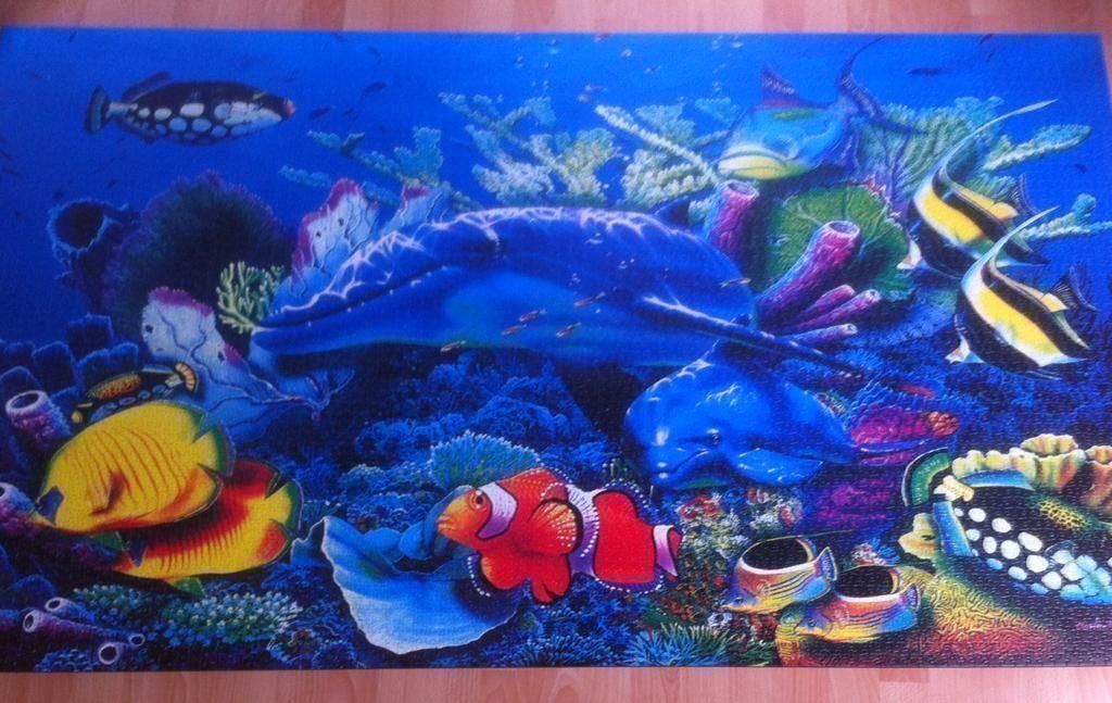 Clementoni Puzzle: Clementoni Puzzle – Usato da Widnau venduto da stiinli 8