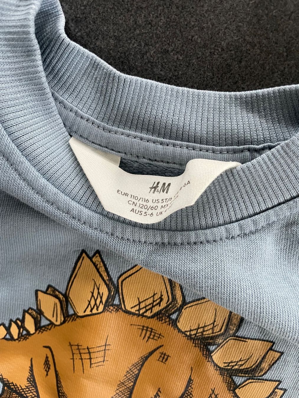 H&M Pulls et sweat-shirts: Dino Pullover / Sweatshirt Gr. 110/116 H&M – D'occasion à Aesch ZH par lawas 1