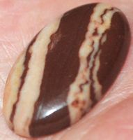 Cabochon L-2188 – Kokosnuss Jaspis 28x16mm