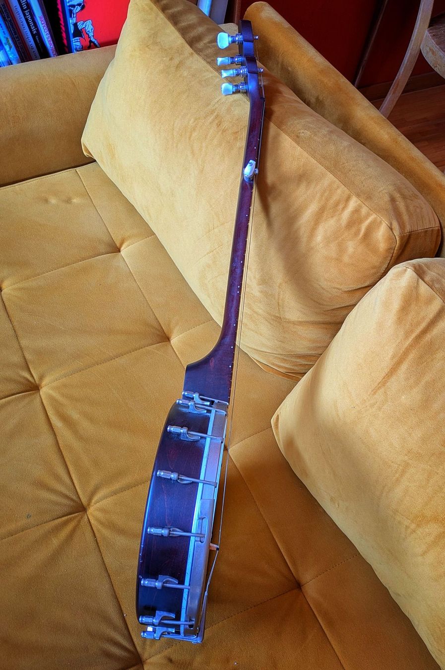 Musikinstrumente: Banjo Deering Goodtimes – Gebraucht aus La Tour-de-peilz von drueed_bis 2