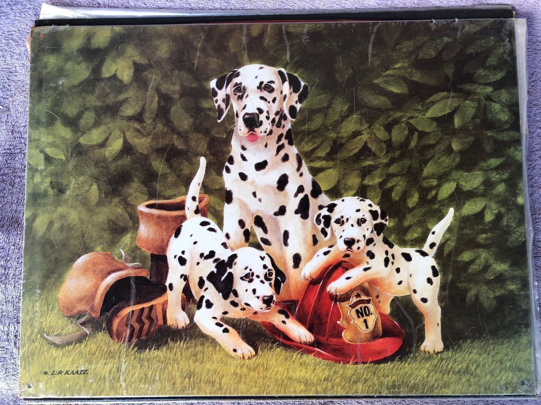 Insegne: Dalmatiner hunde welpen tiere – Nuovo (secondo la descrizione) da Reinach AG venduto da rares75