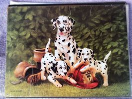 Dalmatiner hunde welpen tiere