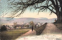Zofingen // Idylle // 1904 // Sommer