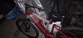 E-Bike Matro AP500