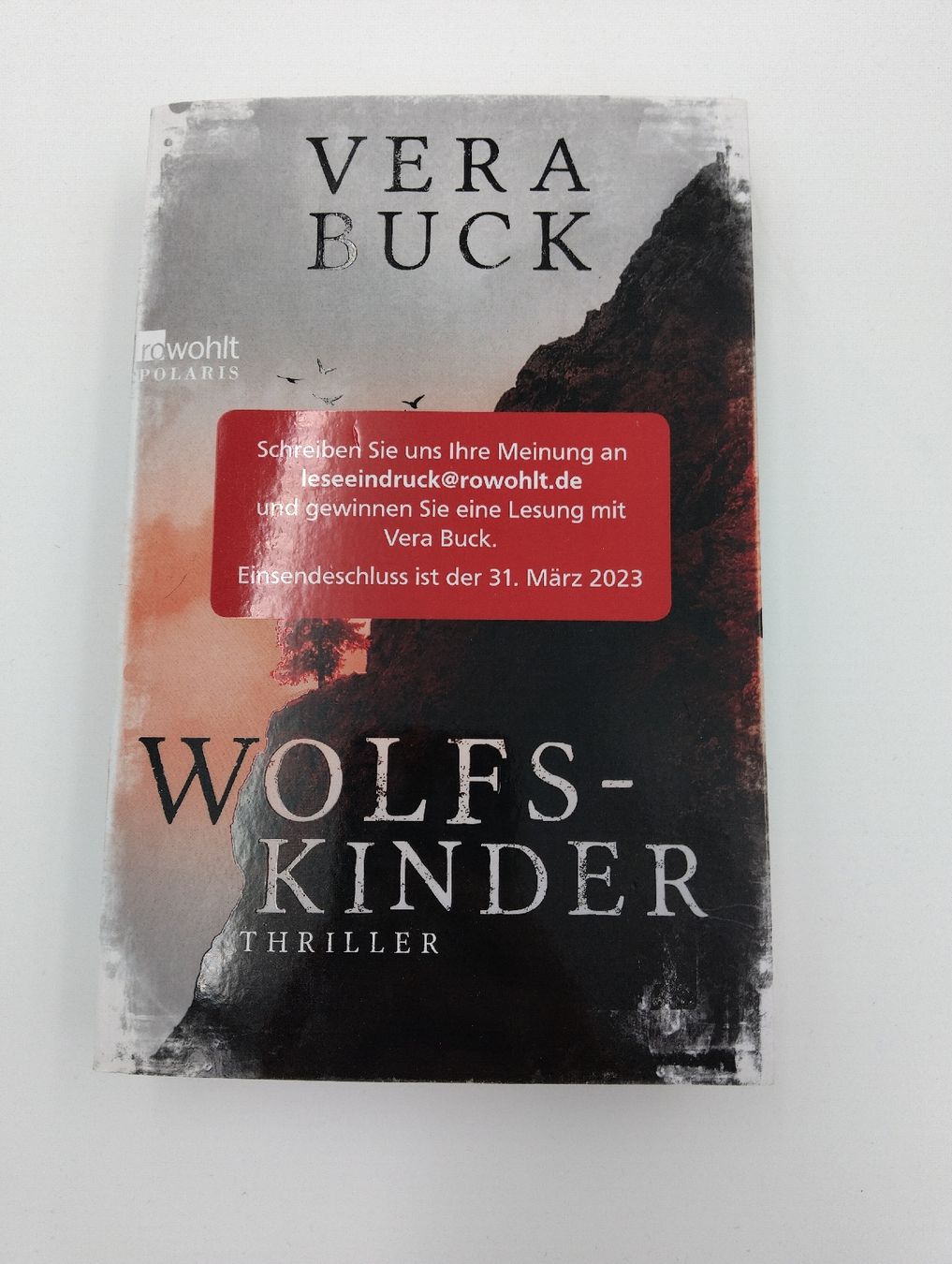 Libri: 4 Krimis/Thriller, Top! – Usato da Zofingen venduto da Lechim01 1