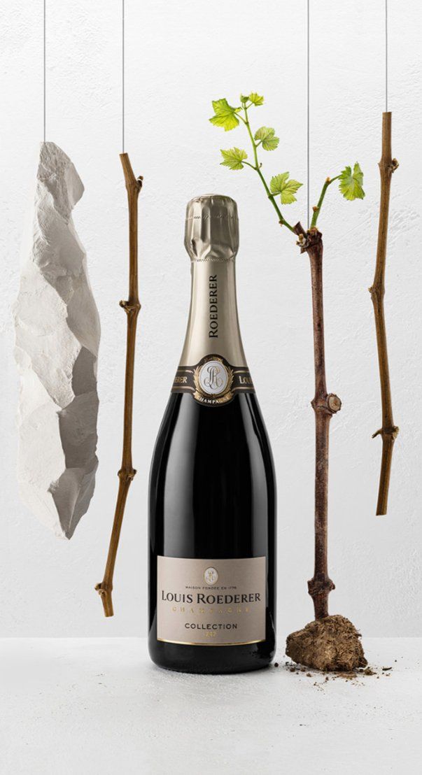 Louis Roederer Vino: Louis Roederer Champagner – Nuovo (secondo la descrizione) da Lippoldswilen venduto da lidofa