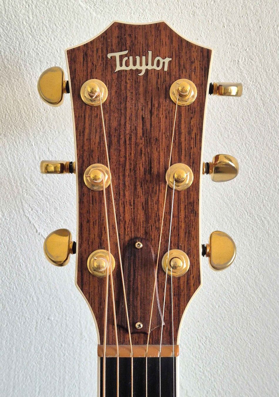 Taylor Instruments de musique: Taylor 810 LTD Dreadnought – D'occasion à Zürich par Misterbloom 2