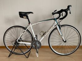 Damen Rennvelo "ruby" von Specialized Grösse 54 