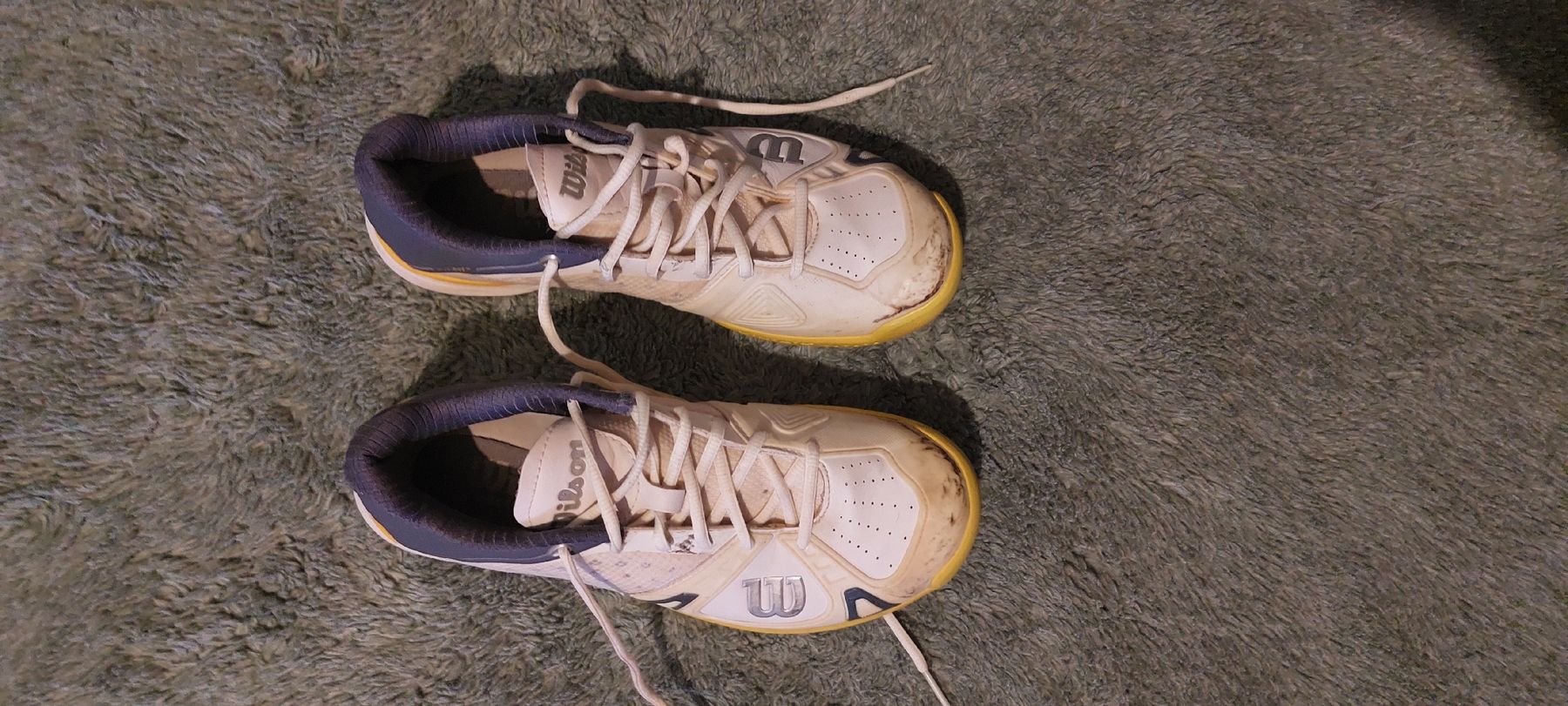 Wilson Scarpe da uomo: Wilson Tennisschuhe – Usato da Schaffhausen venduto da lia_6dpb 1
