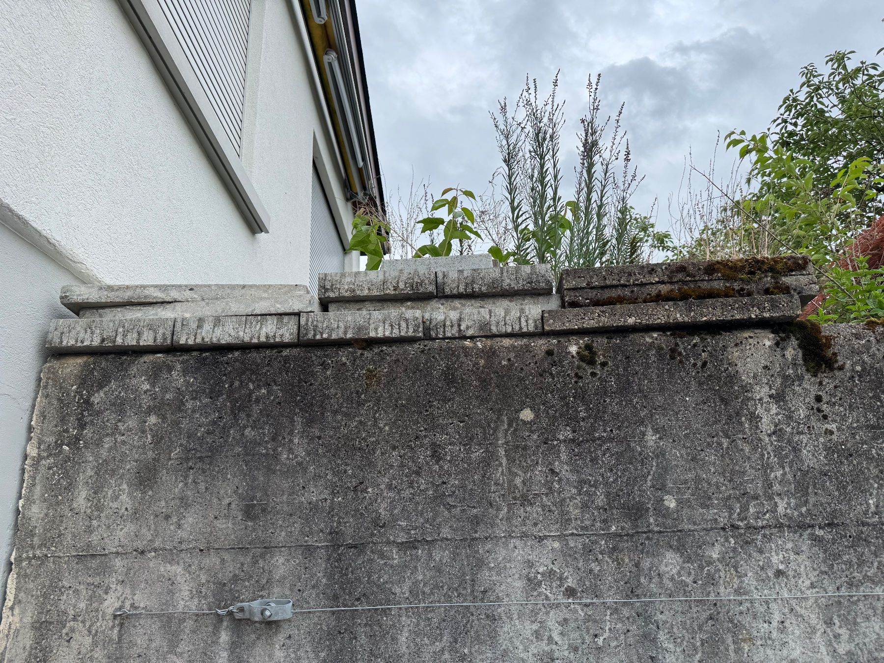 Rivestimenti per pavimenti: Zement Gartenplatten/Steine – Usato da Hölstein venduto da Bri4nK 1