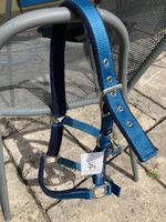 Licol neuf taille poney, rembourré bleu