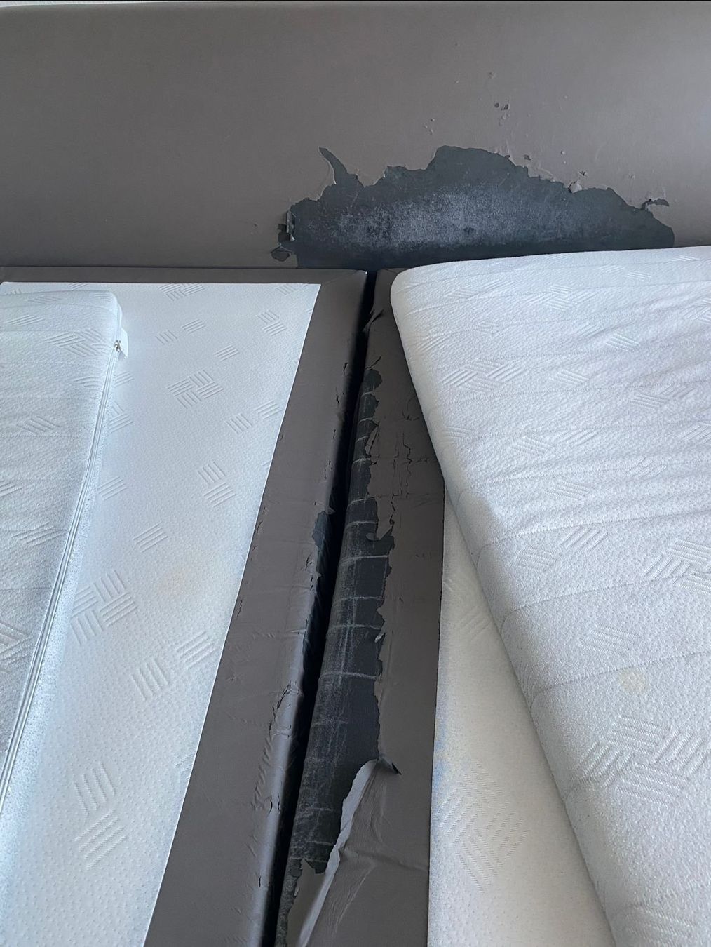 Letti: Boxspringbett Elektrisch – Usato da Lupfig venduto da Pluribus 5