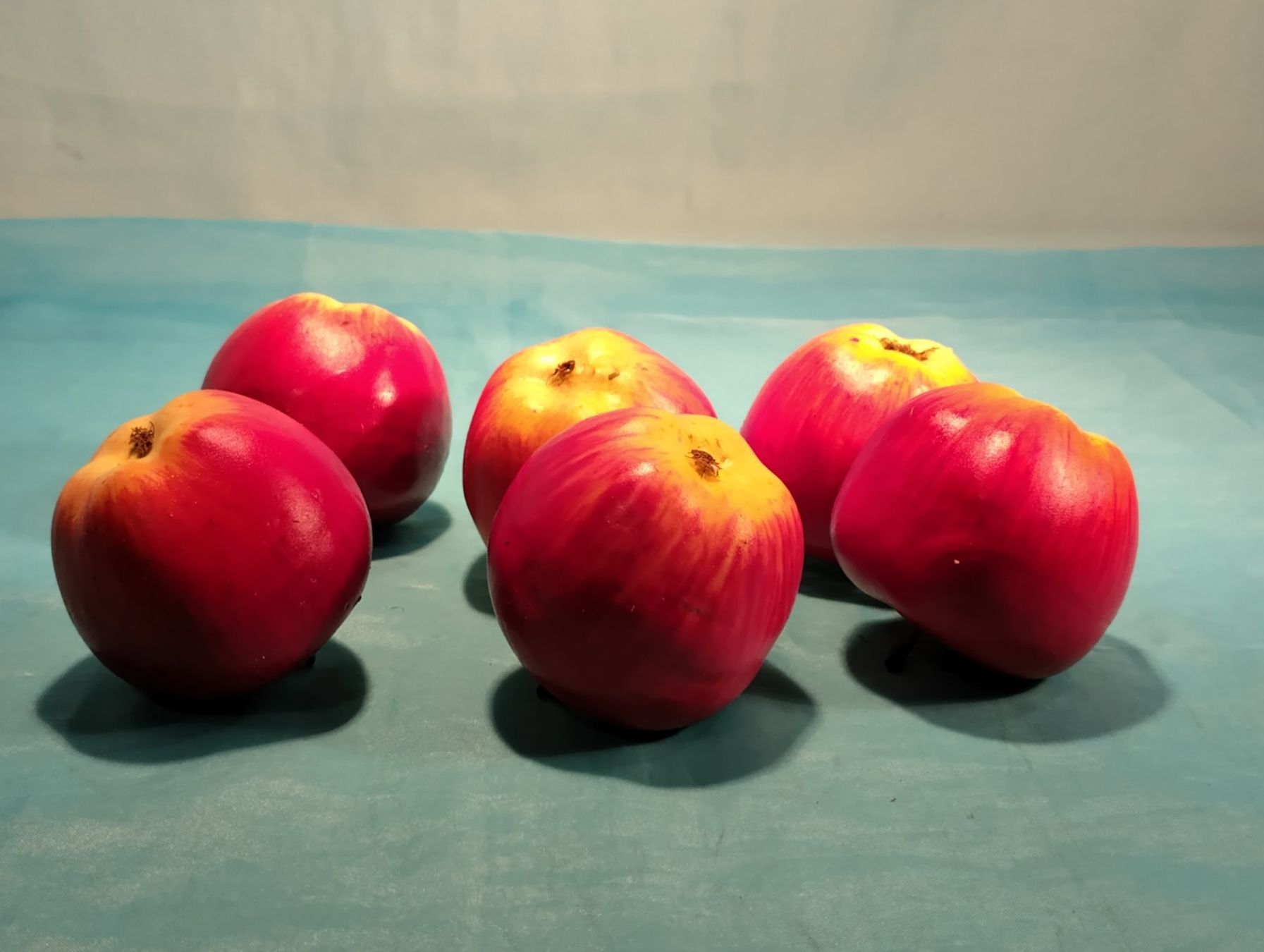 Tutte le decorazioni: 6 künstliche Aepfel, Herbstdeko – Nuovo (secondo la descrizione) da Bellach venduto da JingleCherry 2