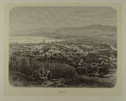 ZÜRICH GESAMTANSICHT, HOLZSTICH 1880