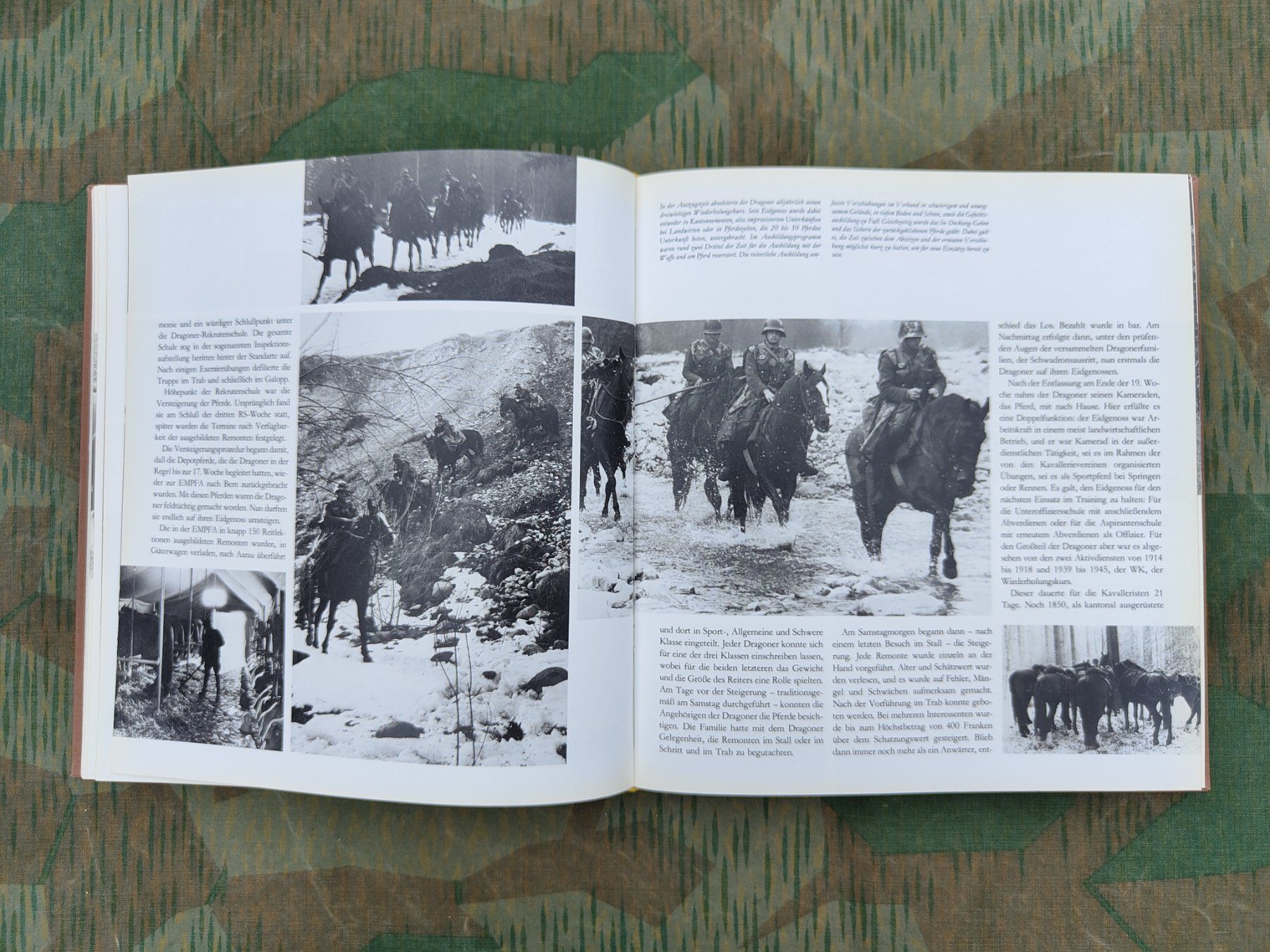 Libri: Der Eidgenoss Die Geschichte der Schweizer Kavallerie – Usato da Bauma venduto da SwissMilitaria 9