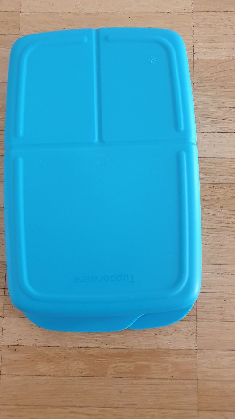 Tupperware Contenitori & Simili: Tupperware Brotdose,Top!  – Usato da Laufenburg venduto da megane1959 4