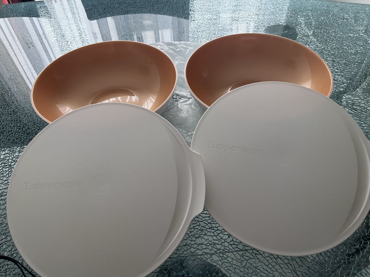 Schalen: Tupperware 2Stück Schüssel mit Deckel – Neu und originalverpackt aus Brüttisellen von lilien2012