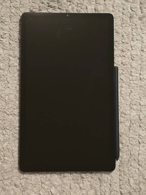 Tablet PC: Samsung Tablet S6 Lite 4G mit Stift – Usato da Thierachern venduto da bea_2br8 2