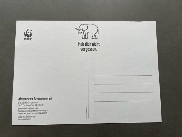 Foto & Immagini: ELEFANTEN  BILD - AFRIKANISCHER ELEFANT – Nuovo (secondo la descrizione) da Honau venduto da sainj 1