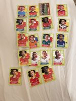 Panini World Cup Stickers 2026 United Edition