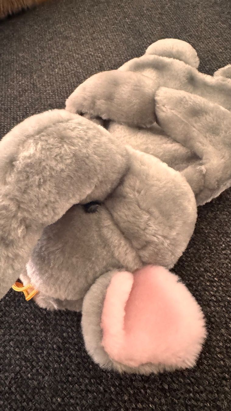 Altri elettrodomestici e apparecchi d’epoca: Elefant Bettflasche (neu) – Nuovo (secondo la descrizione) da Baar venduto da 001loulou 4