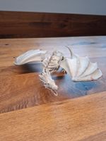 Harry Potter Drache