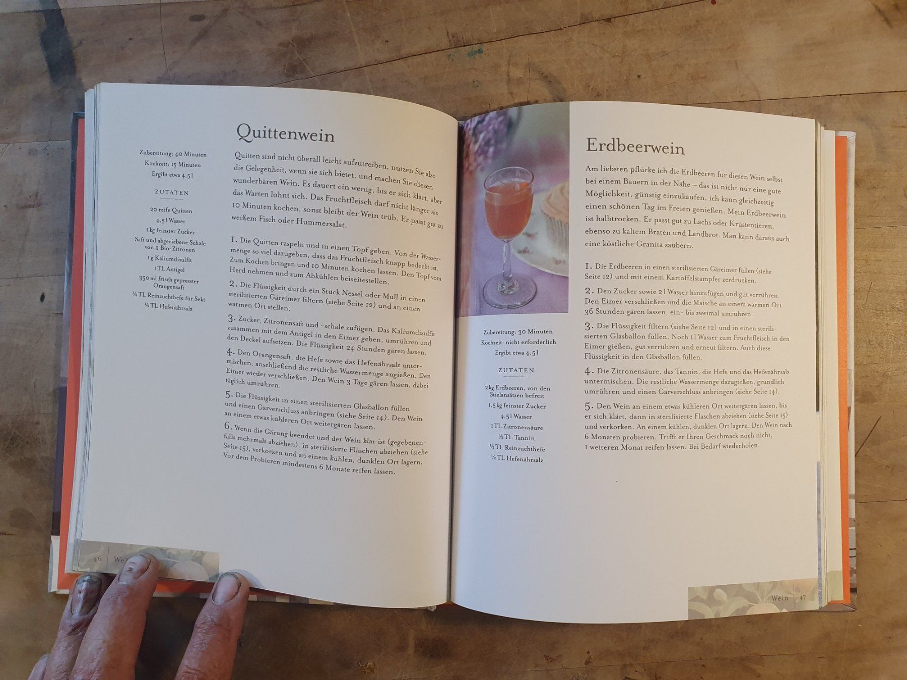 Bücher: Wein, Likör & Sirup Beshlie Grimes DK – Gebraucht aus Zürich von loosebone 2