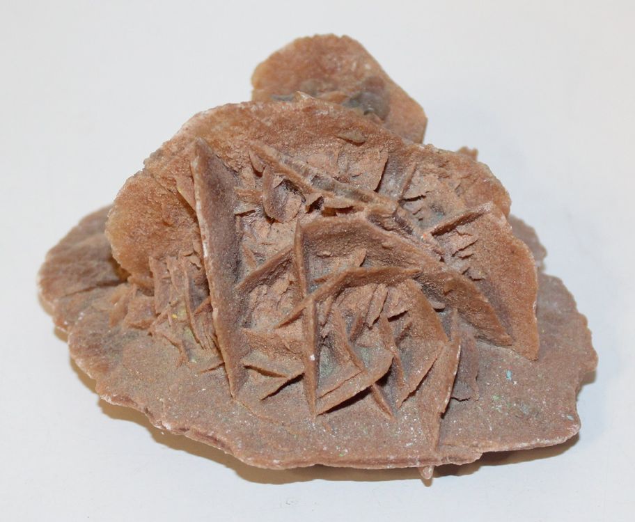 Sandrose Kaufen auf Ricardo