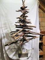 Tannenbaum Schwemmholzbaum