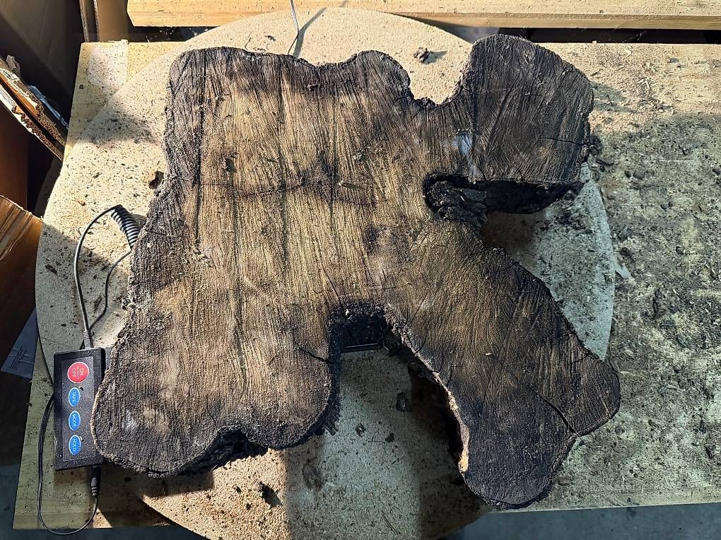 Articoli in legno: Olivenholz Wurzelscheibe W6 – Usato da Buus venduto da macipioji 1