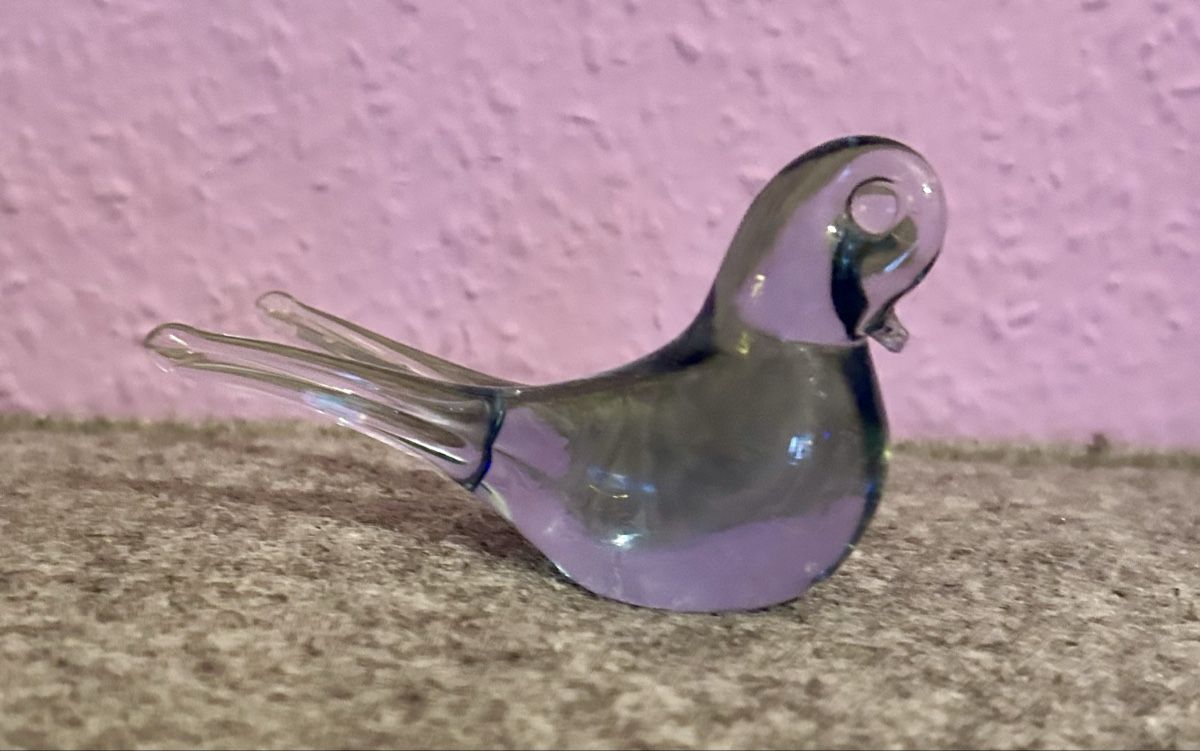 Murano Statuette: Oiseau en verre Soufflé de Murano – Usato da Petit-Lancy venduto da Pierre_le_voyageur 3