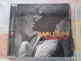 CD Capleton - I Testament