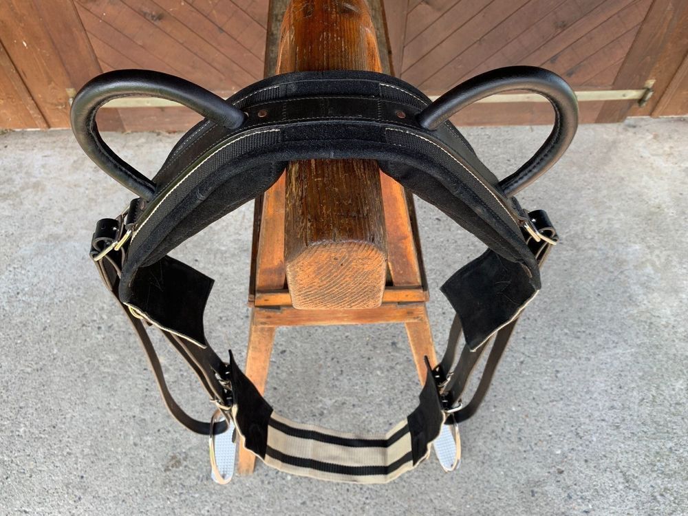 Esposita Voltigiergurt Mit Beinschlaufen - Sicherer Einstieg In Den Voltigiersport Für Kinder