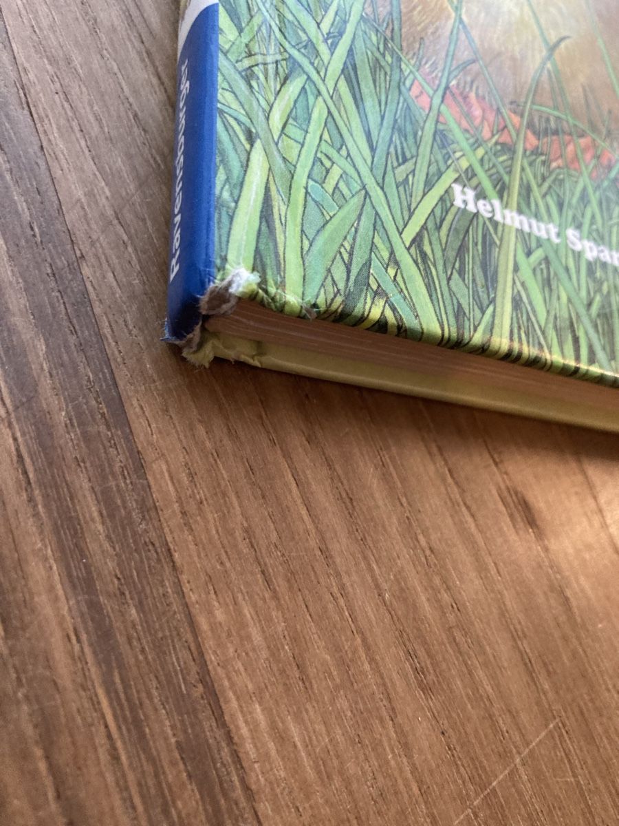 Bücher: Buch- Die kleine Ente – Gebraucht aus Luzern von Aldabema 1