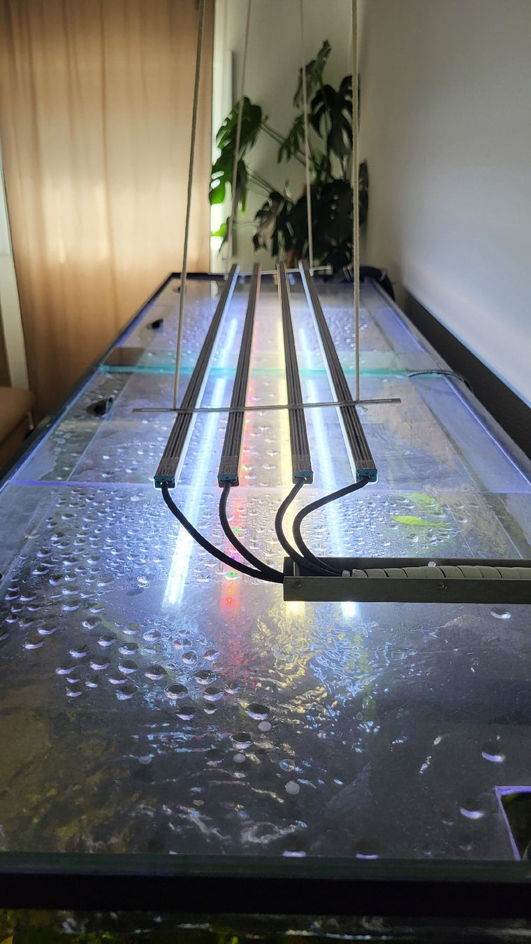 Aquarium: Aquarium 720L – Gebraucht aus Dorénaz von sic_w2bz 5